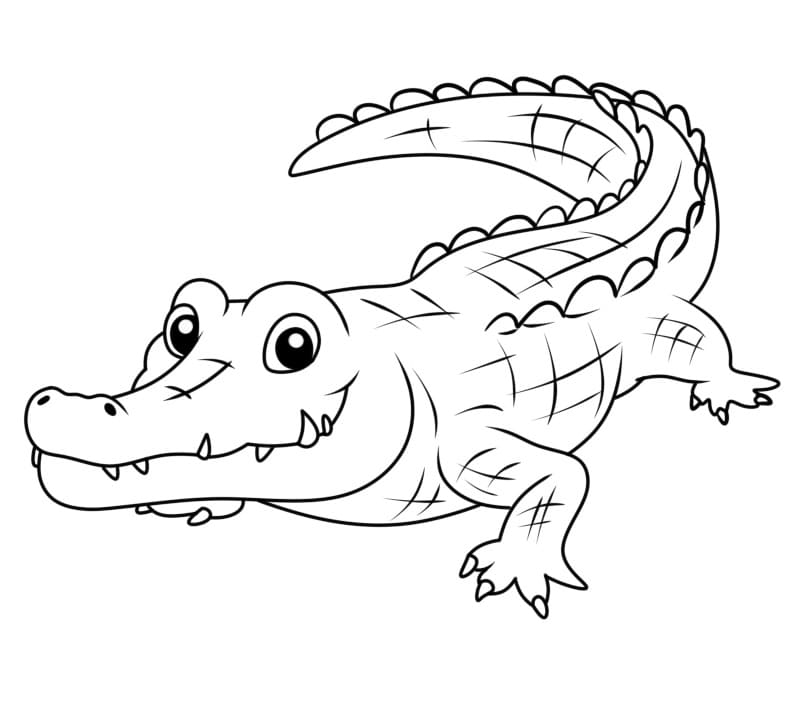 Fise de colorat cu Crocodili de colorat p14