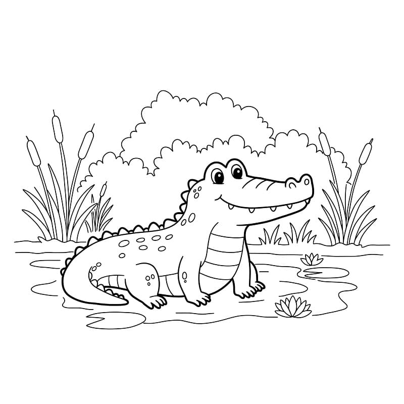 Fise de colorat cu Crocodili de colorat p22