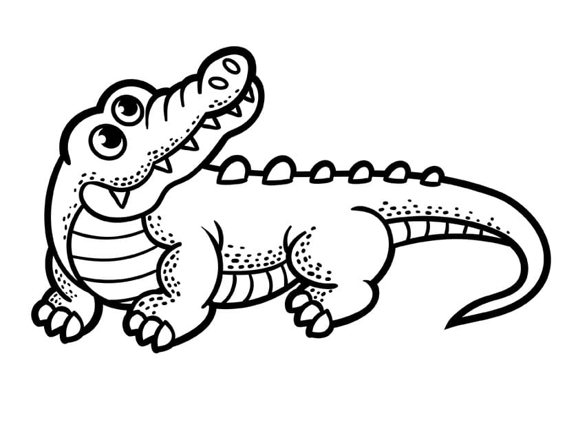 Fise de colorat cu Crocodili de colorat p33