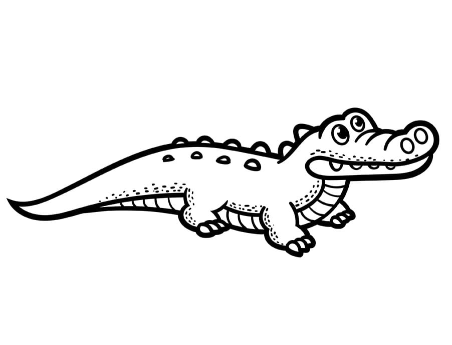 Fise de colorat cu Crocodili de colorat p34