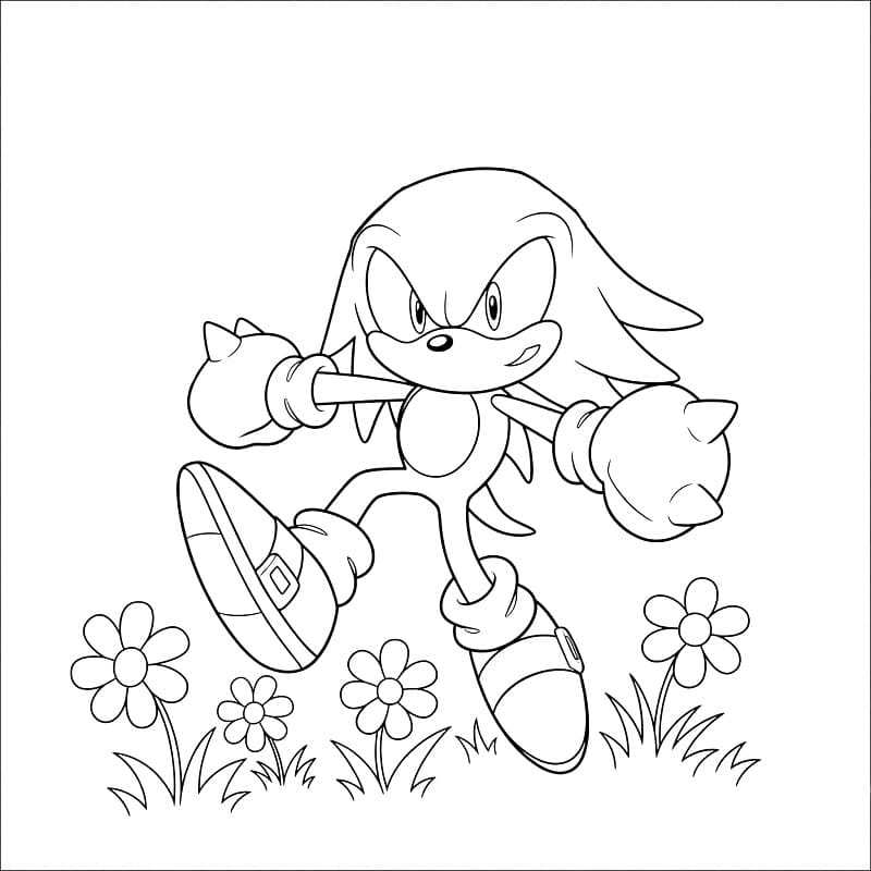 Fise de colorat cu Knuckles și flori