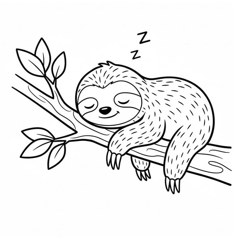 Fise de colorat cu Leneș adormit