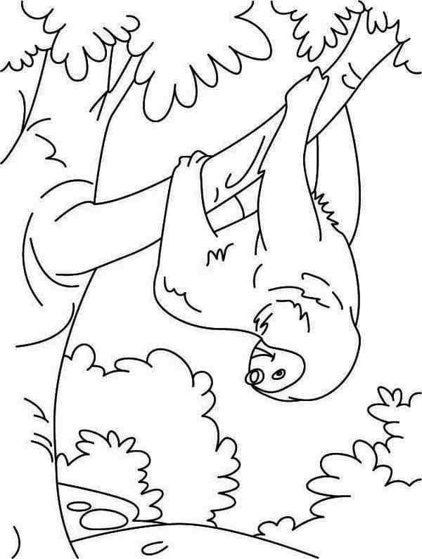 Fise de colorat cu Leneș atârnat