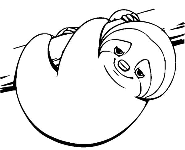 Fise de colorat cu Leneș somnoros