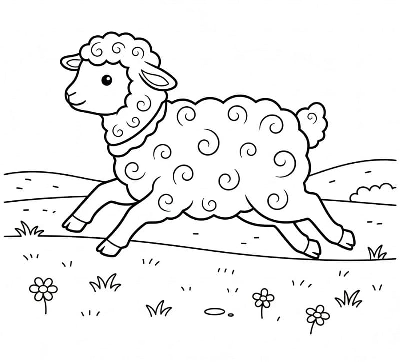 Fise de colorat cu Miel alergând