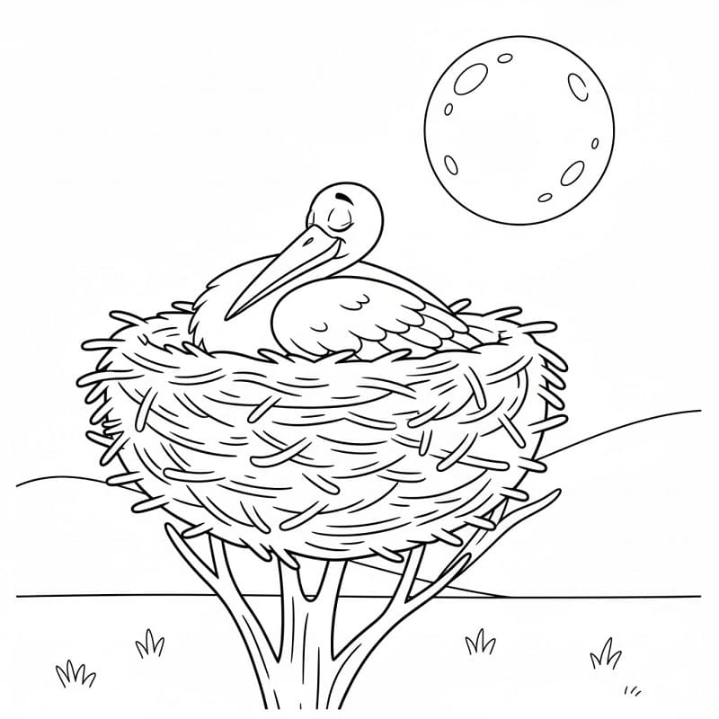 Fise de colorat cu Barza de colorat p04