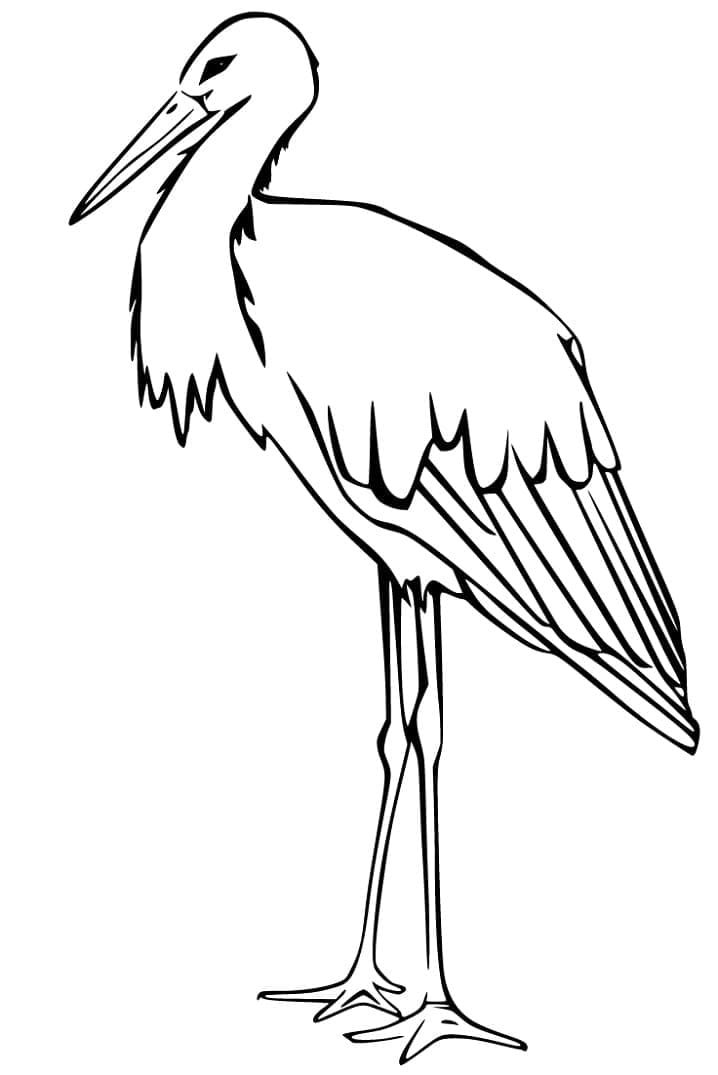 Fise de colorat cu Barza de colorat p25