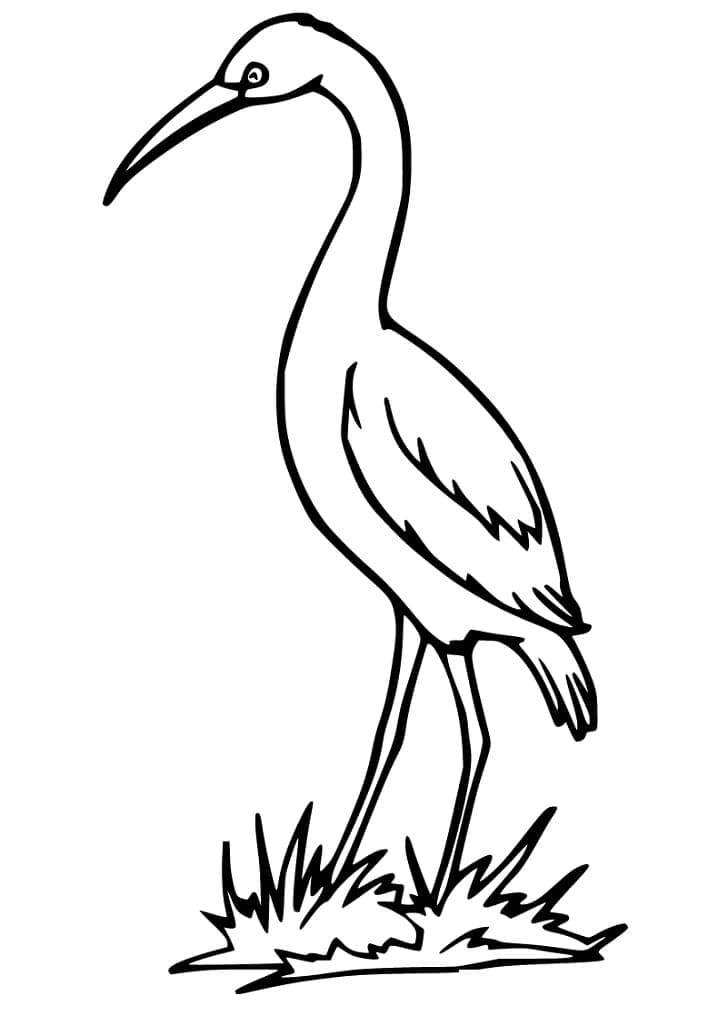 Fise de colorat cu Barza de colorat p32