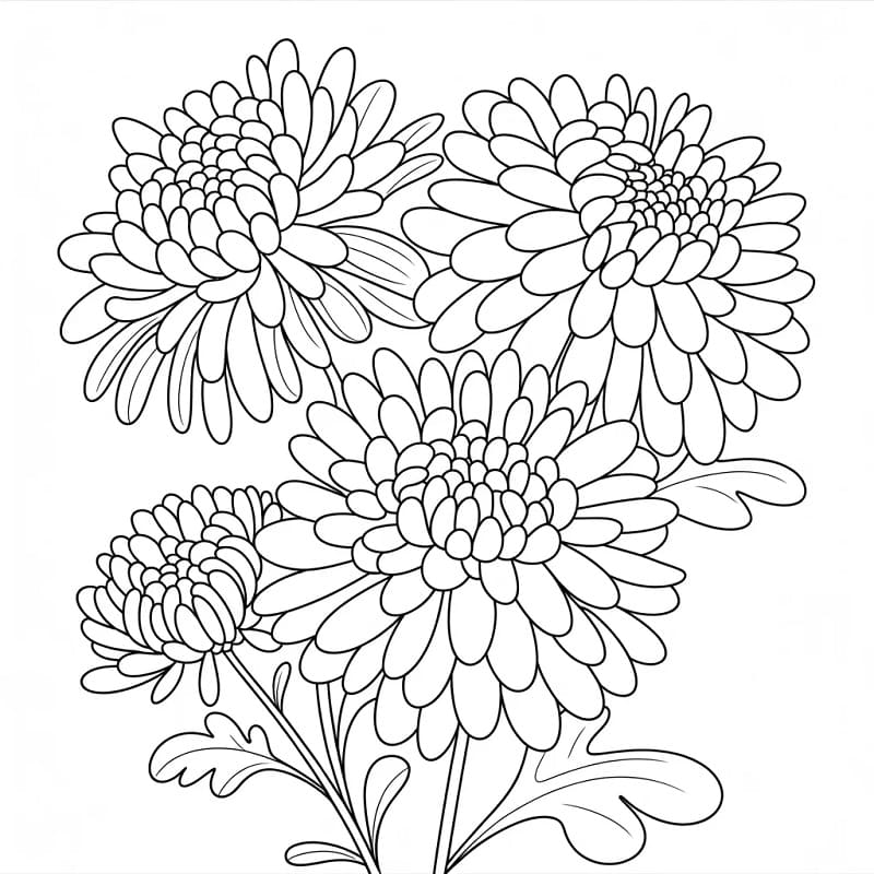 Fise de colorat cu Crizanteme de colorat p06