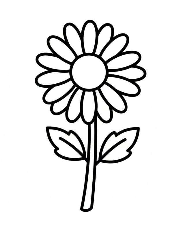 Fise de colorat cu Crizanteme de colorat p12
