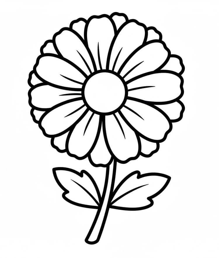 Fise de colorat cu Crizanteme de colorat p13