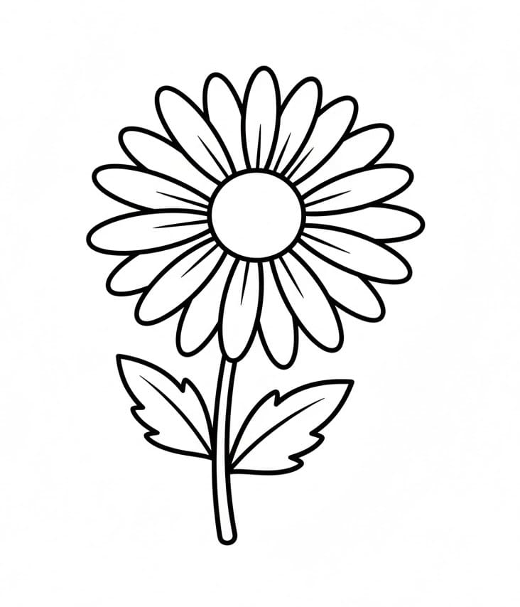 Fise de colorat cu Crizanteme de colorat p16