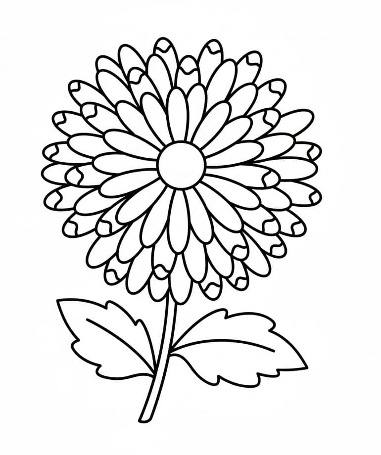 Fise de colorat cu Crizanteme de colorat p25