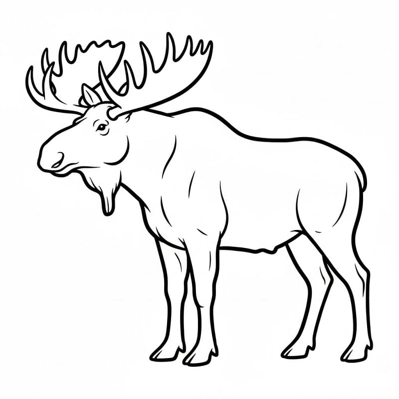 Fise de colorat cu Elan de colorat p05