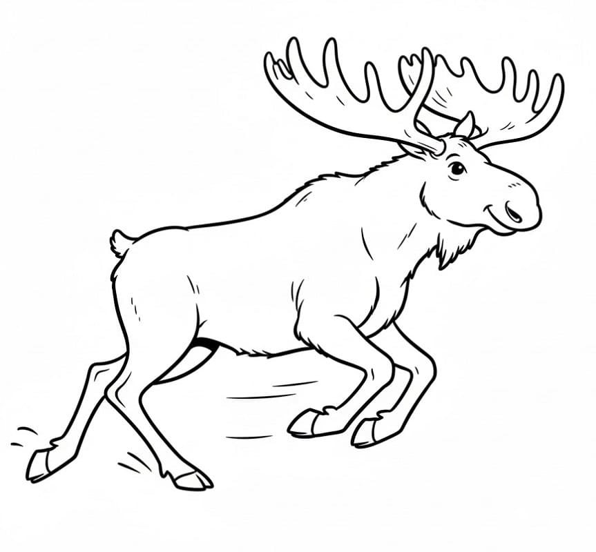 Fise de colorat cu Elan de colorat p12