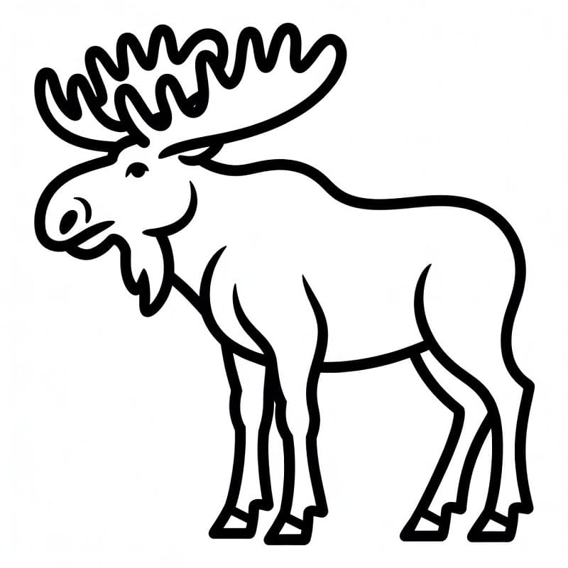 Fise de colorat cu Elan de colorat p13