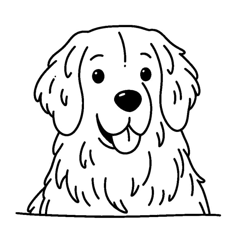 Fise de colorat cu Golden Retriever de colorat p05