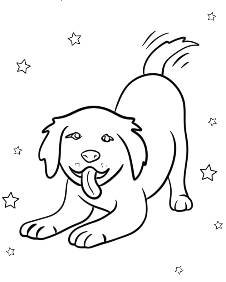 Fise de colorat cu Golden Retriever de colorat p06