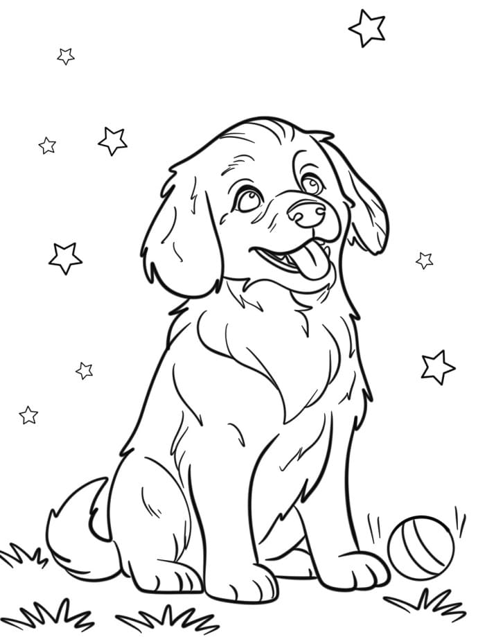 Fise de colorat cu Golden Retriever de colorat p07