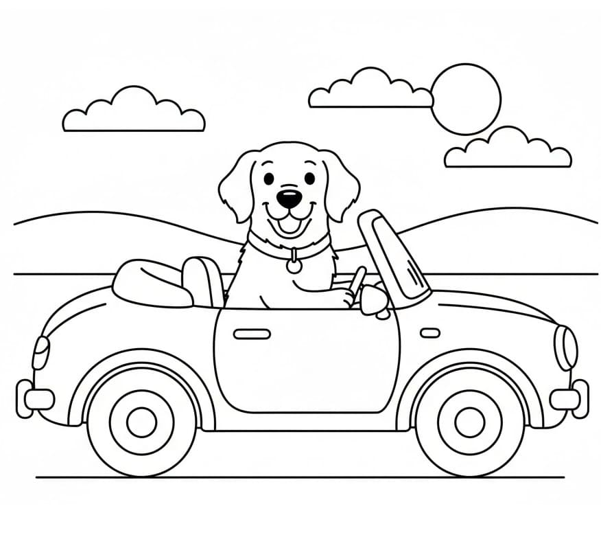 Fise de colorat cu Golden Retriever de colorat p16
