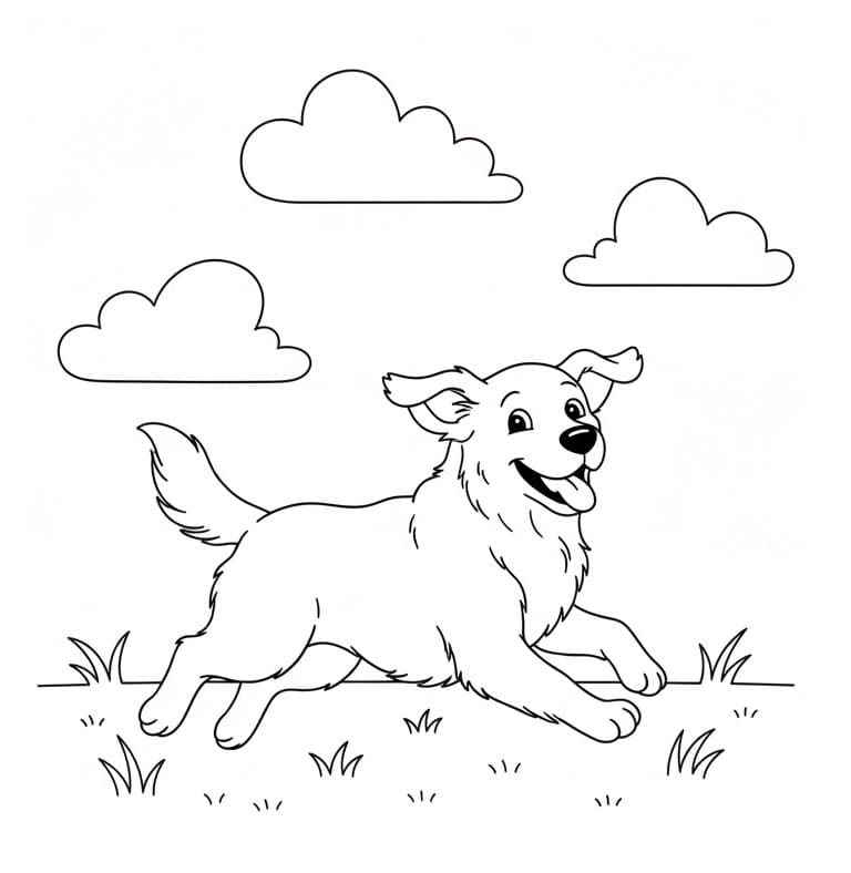 Fise de colorat cu Golden Retriever de colorat p18