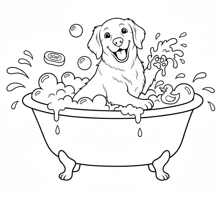 Fise de colorat cu Golden Retriever de colorat p34