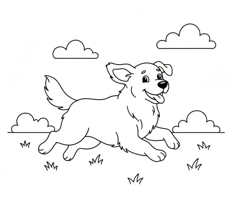 Fise de colorat cu Golden Retriever de colorat p36