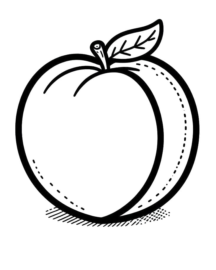 Fise de colorat cu Piersici de colorat p05