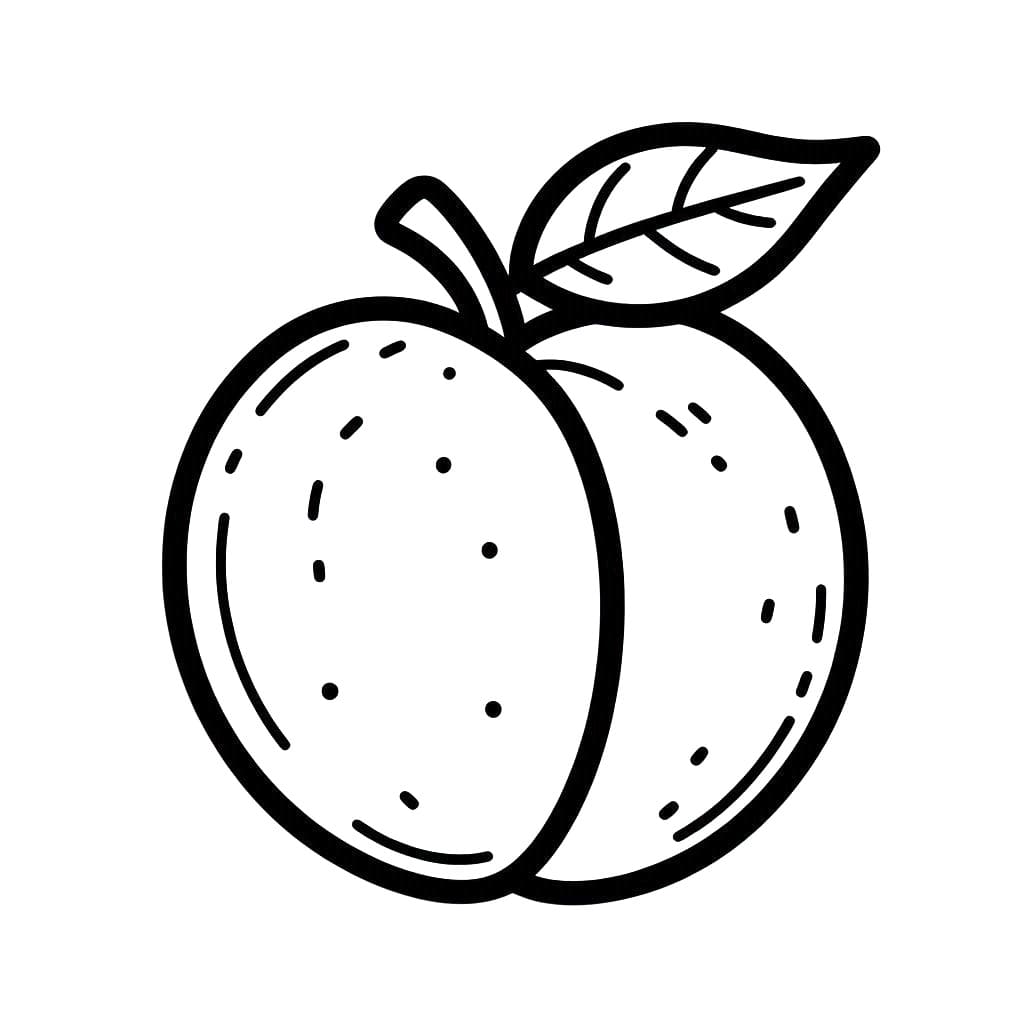 Fise de colorat cu Piersici de colorat p07