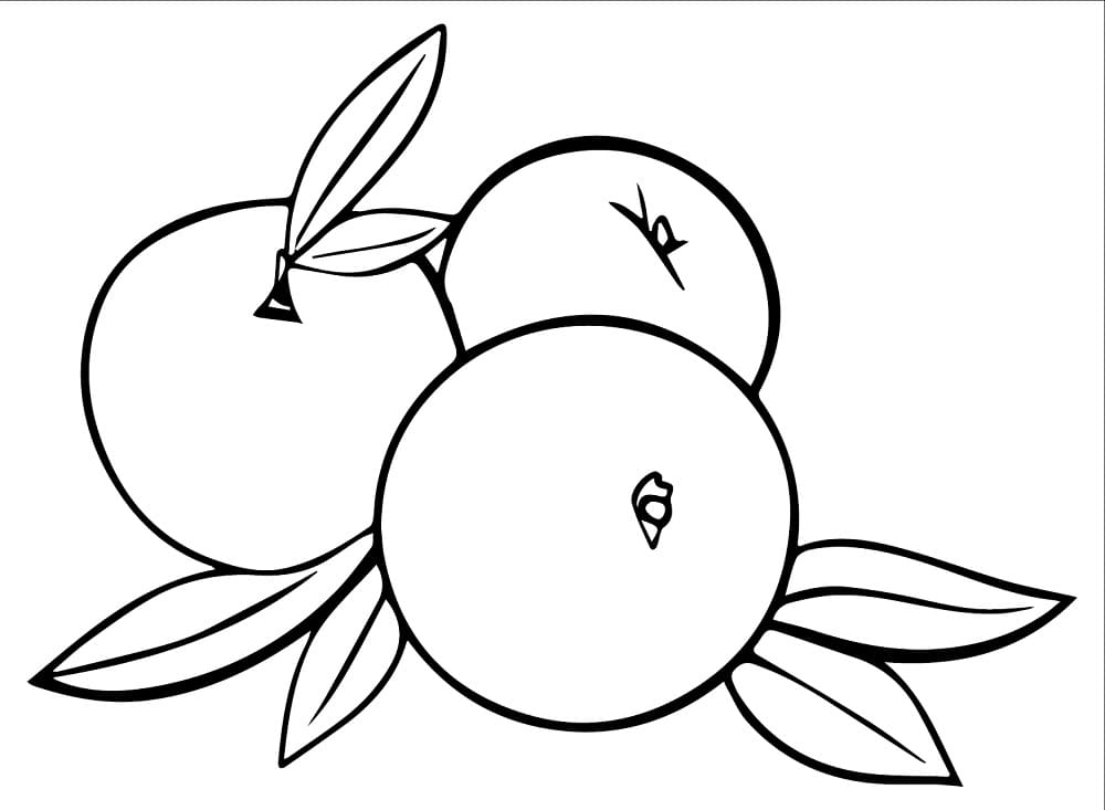 Fise de colorat cu Piersici de colorat p14