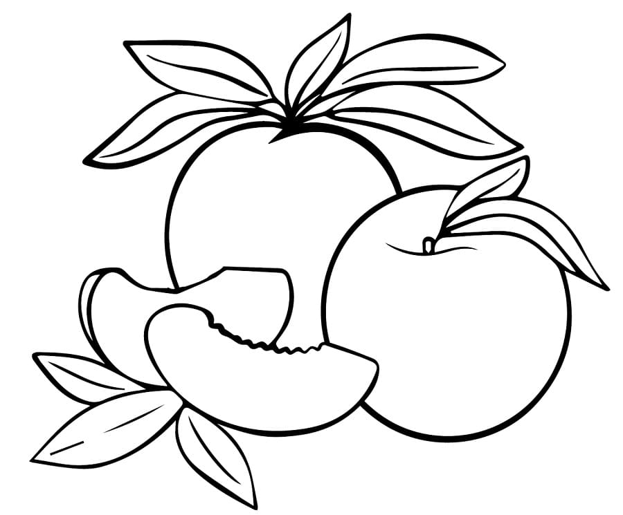 Fise de colorat cu Piersici de colorat p15