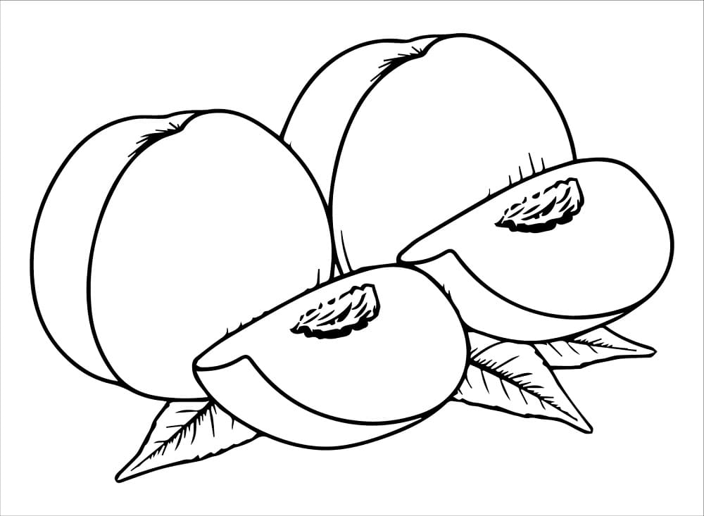 Fise de colorat cu Piersici de colorat p22