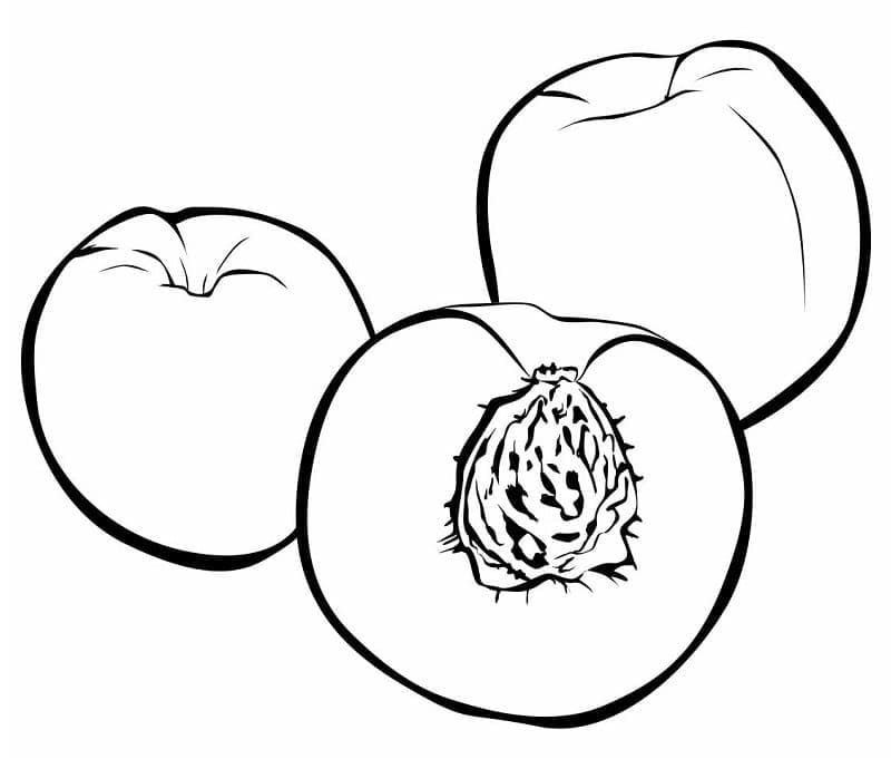 Fise de colorat cu Piersici de colorat p26