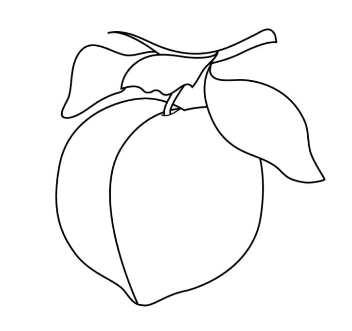 Fise de colorat cu Piersici de colorat p27