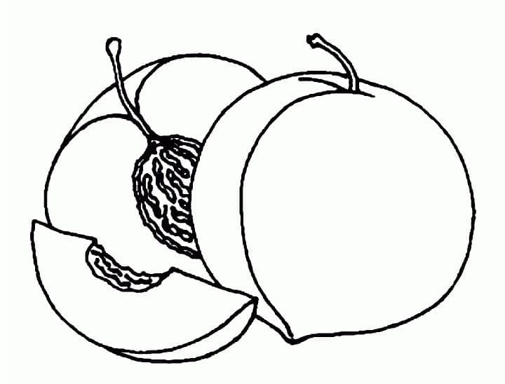 Fise de colorat cu Piersici de colorat p28