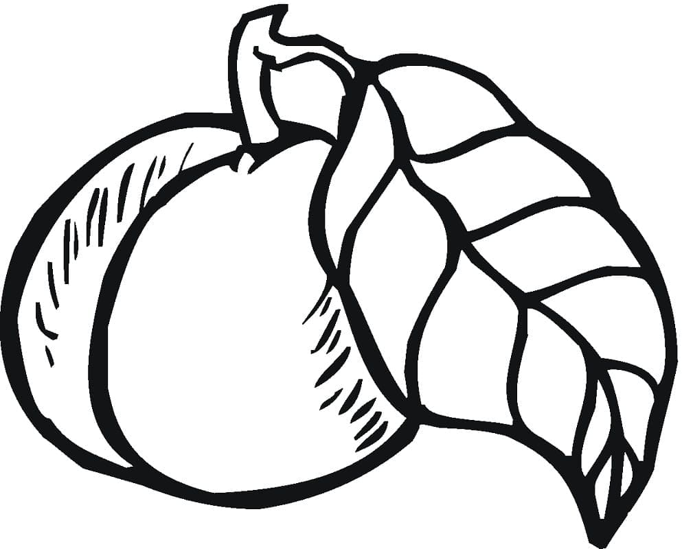 Fise de colorat cu Piersici de colorat p32