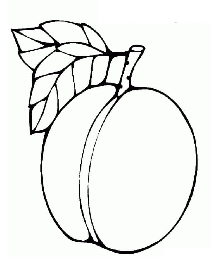 Fise de colorat cu Piersici de colorat p34