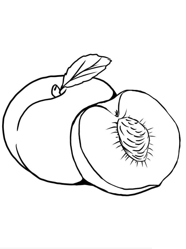 Fise de colorat cu Piersici de colorat p42