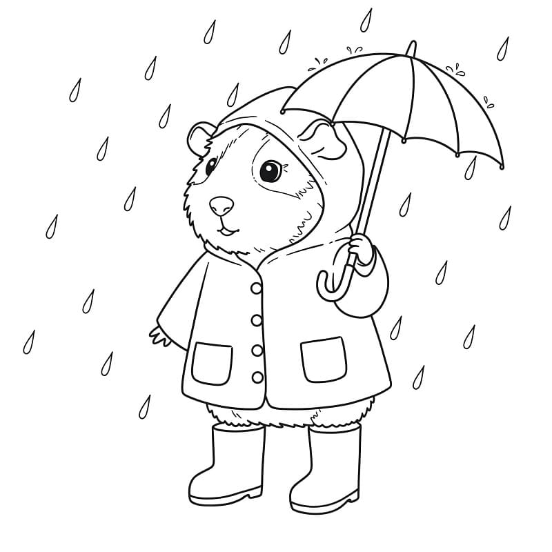 Fise de colorat cu Cobai de colorat p02