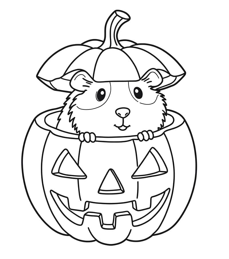 Fise de colorat cu Cobai de colorat p03