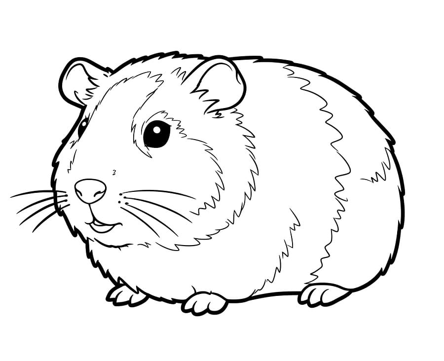 Fise de colorat cu Cobai de colorat p04