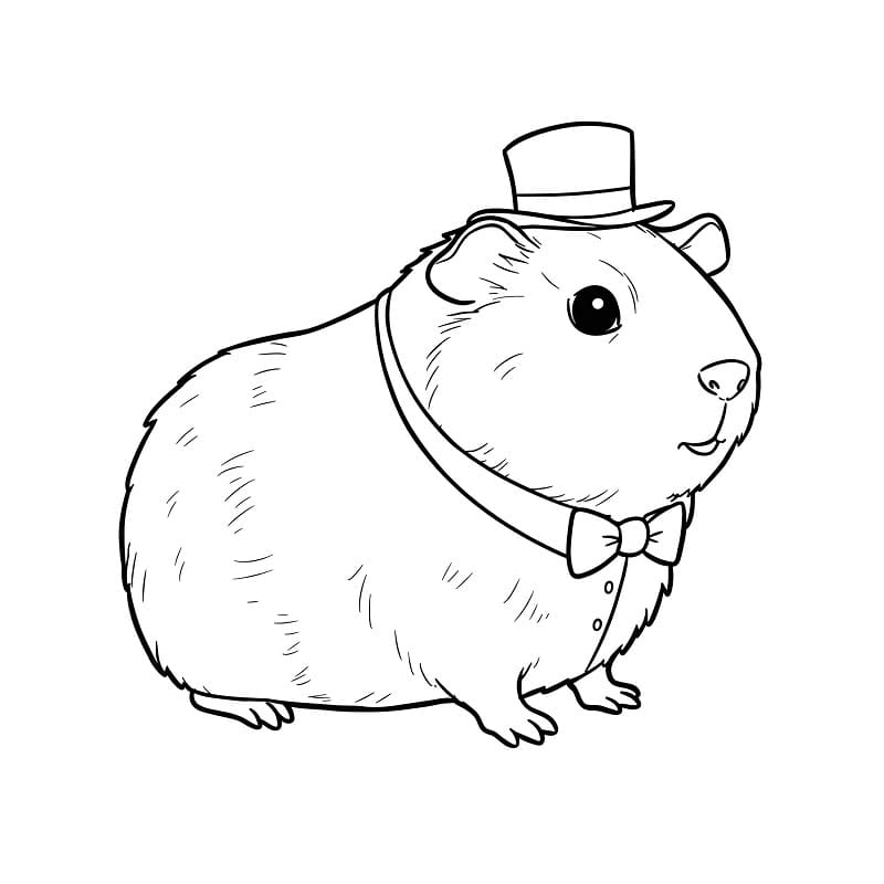 Fise de colorat cu Cobai de colorat p06