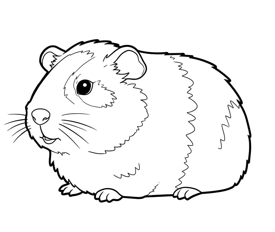 Fise de colorat cu Cobai de colorat p07