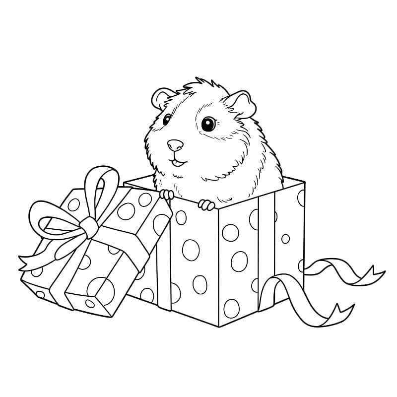 Fise de colorat cu Cobai de colorat p09