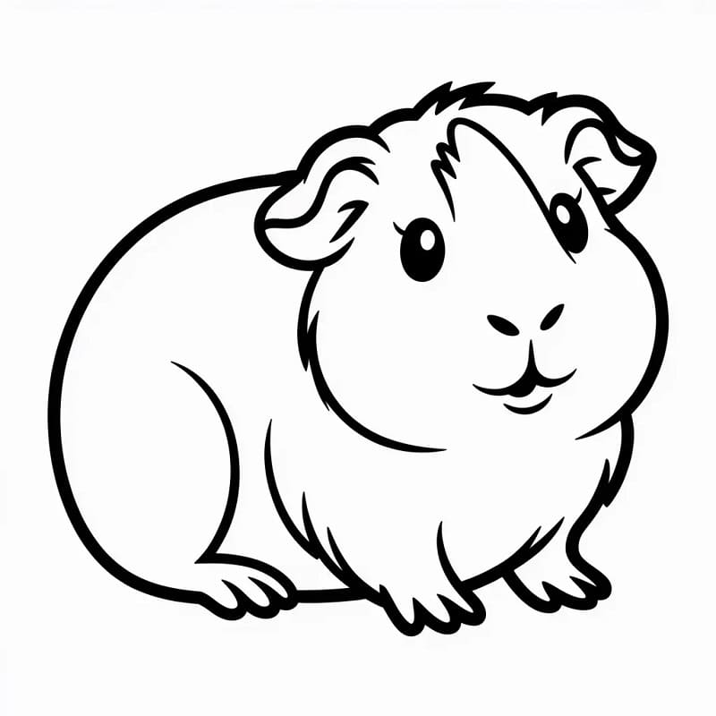 Fise de colorat cu Cobai de colorat p13