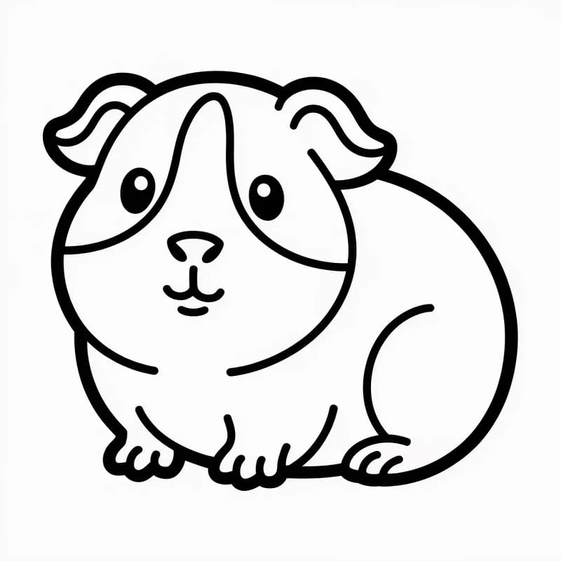 Fise de colorat cu Cobai de colorat p14