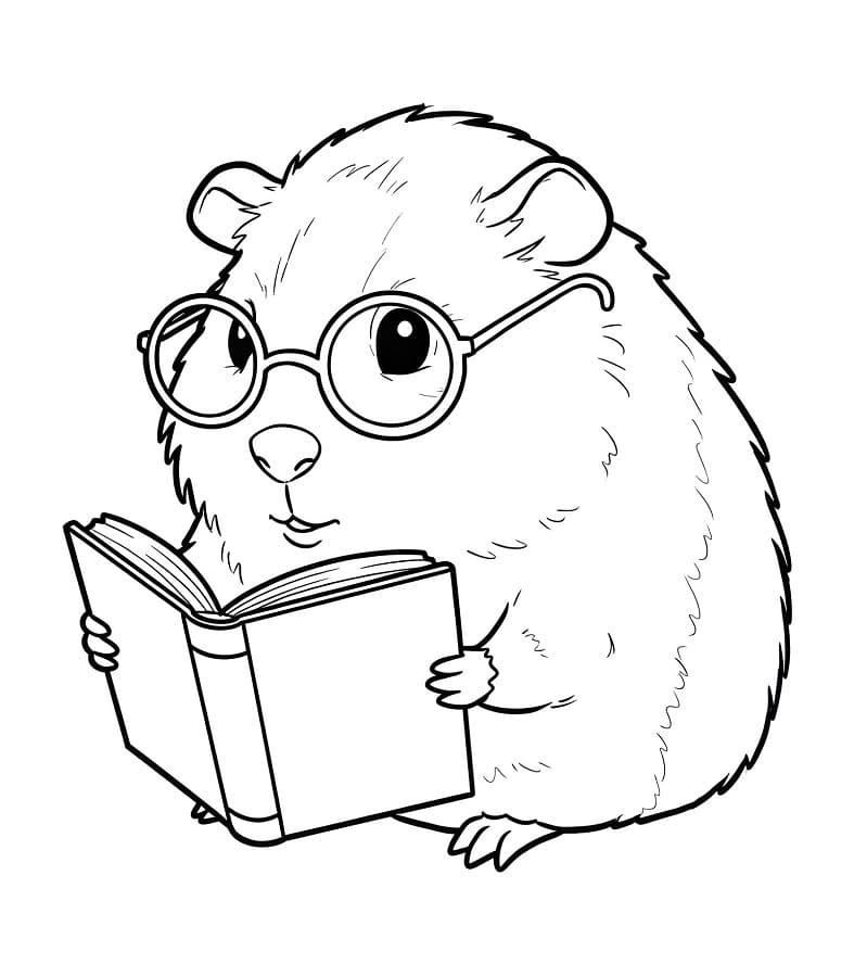 Fise de colorat cu Cobai de colorat p17