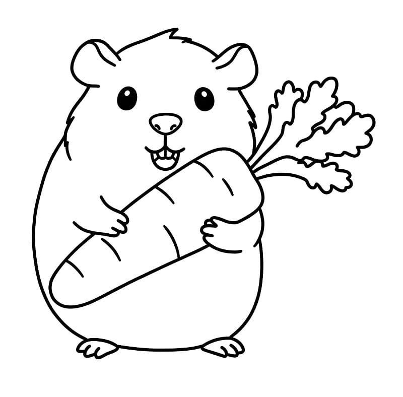 Fise de colorat cu Cobai de colorat p19