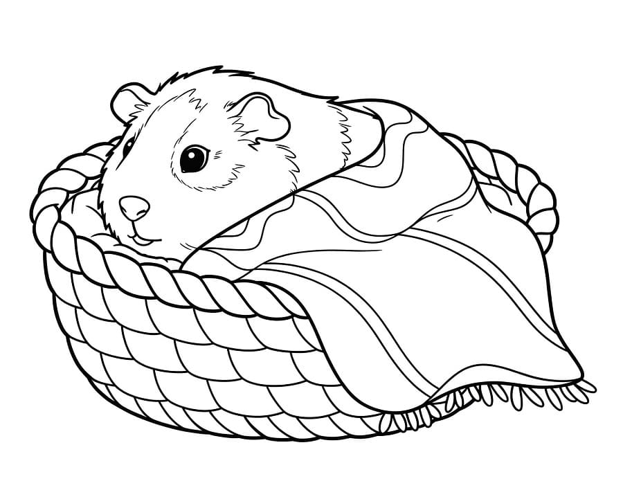 Fise de colorat cu Cobai de colorat p20