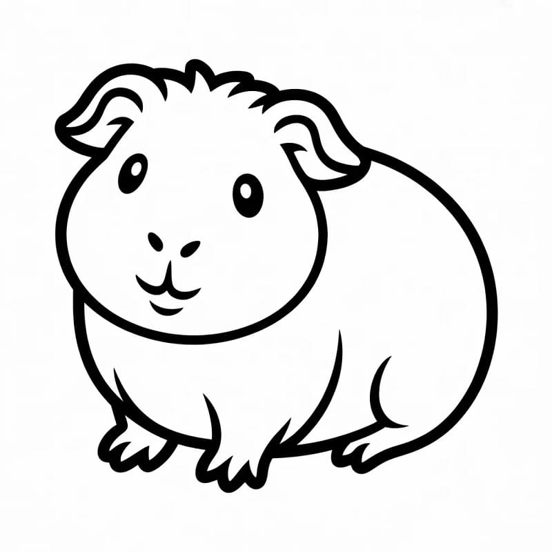 Fise de colorat cu Cobai de colorat p22